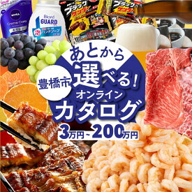 【ふるさと納税】 ＼あとから選べる ／オンラインカタログ あとからチョイス 3万円〜200万円 有効期限なし 後から選べる うなぎ えび 肉 総菜 訳あり 発送時期が選べる 米 宿泊 食事券 体験 チケット 日用品 まだ間に合う 無期限 カタログギフト 100万円 200万円