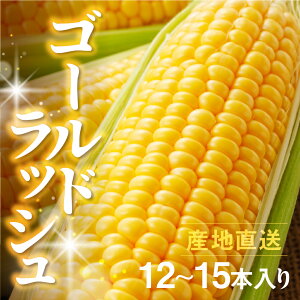 yӂ邳Ɣ[Łzs\ ߘa8NYi2026Nnj Ƃ낱 S[hbV 5kg x 12{ ~ 15{̂ lC Â ȒP ܂ t[c m Ls 13000~ Ė