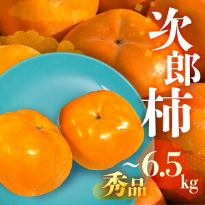 yӂ邳Ɣ[Łzs\ ʌ Yʓ{ mLY Y` Gi 蕨ɂI Iׂ e 3kg 6.5kg ` Ê` ʕ t[c 10 11 m Ls r^~C h{ H