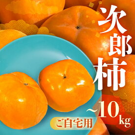 【ふるさと納税】＼令和8年産 先行予約受付中／ 次郎柿 ご自宅用 選べる 内容量 3kg 6.5kg 10kg 柿 訳あり 不揃い 甘柿 果物 フルーツ 10月 11月 愛知県 豊橋市 ビタミンC 高栄養価 食物繊維 旬をおとどけ 生産量日本一 愛知県豊橋産