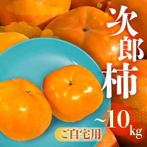 yӂ邳Ɣ[Łzs\ Yʓ{ mLY Y` p Iׂ e 3kg 6.5kg 10kg ` 󂠂 s Ê` ʕ t[c 10 11 m Ls r^~C h{ H