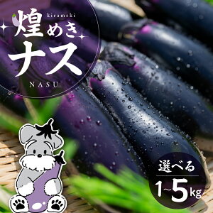 yӂ邳Ɣ[Łz߂iX 1kg ` 5kg