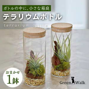 yӂ邳Ɣ[ŁznChJ`[ ϗtA eE{gM A y CeA  O[ A ȒP S 킢 R   Green Walk O[EH[N m