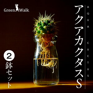 yӂ邳Ɣ[ŁznChJ`[ ϗtA ANAJN^XS 2Zbg T{e y CeA  O[ A ȒP S 킢 R   Green Walk O[E