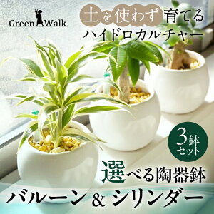 yӂ邳Ɣ[ŁznChJ`[ o[  V_[ 픫 [ICgA 3Zbg y CeA  O[ A ȒP S 킢 R   Green Walk 