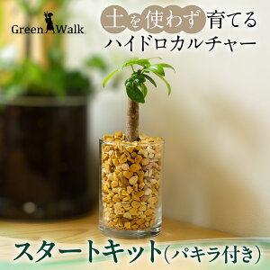 yӂ邳Ɣ[ŁznChJ`[ ϗtA pL X^[gLbg y CeA  O[ A ȒP S 킢 R   Green Walk O[EH[N m 