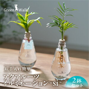 yӂ邳Ɣ[ŁzANA[cC~l[V 2Zbg CeA  O[ A ȒP S 킢 R   Green Walk O[EH[N m Ls