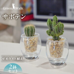 yӂ邳Ɣ[ŁzT{e 2ZbgyʋKXz[ICgA [ICg ϗtA A CeA O[    ~j  ȒP S SҌ 