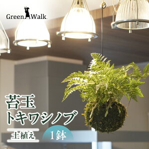 �y�ӂ邳�Ɣ[�Łz�ۋ� �݂�V�m�u �y�A�� �g�L���V�m�u �������� �݂艺�� �n���M���O �ϗt�A�� �A�� �C���e���A �O���[�� �� ������� ���� �~�j ������ �ȒP ���S�� ���S�Ҍ��� ��������