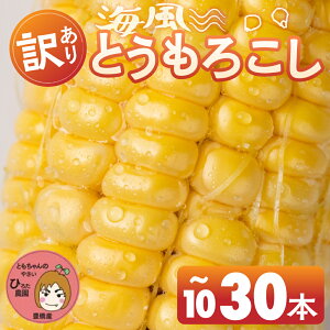 yӂ邳Ɣ[Łzs\ ߘa8NYi2026Nnj󂠂 Ƃ낱 10{ 20{ 30{ őlC m Ls Ė  ~lՂ C  BBQ Ƒ t[h