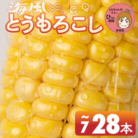 【ふるさと納税】≪先行予約≫ 令和8年産（2026年収穫）黄色とうもろこし 7本 14本 28本 直売所で大人気！ 愛知県 豊橋市 夏野菜 野菜 ミネラルたっぷり 海風そだち 潮風 BBQ 家族で 大容量 豊橋 ともちゃんのやさい