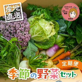 【ふるさと納税】《先行予約》彩り野菜セット【選べる種類数・お届け回数】3種 5種 7種 お試し 定期便 豊橋 国産 ミネラルたっぷり 海風そだち 潮風 家族で 大容量 豊橋 ともちゃんのやさい 直売所で大人気！ 愛知県 豊橋市 安心野菜 ブロッコリー キャベツ
