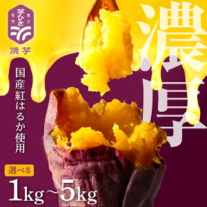 yӂ邳Ɣ[ŁzĂ g͂邩 1kg ~ 5kg (1L 2L 4L 5L) Iׂ Ⓚ Y ܂ ^pbN dqW ȒP ₫ Ĉ   Â   Y XC[c 