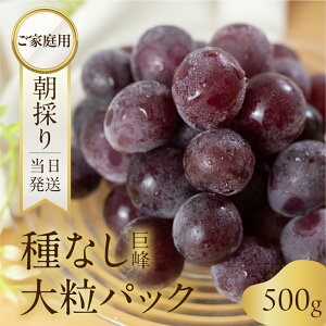 �y�ӂ邳�Ɣ[�Łz�s��s�\��t ���̂� �������� ��Ȃ� ���� �� 450g ~ 1.3kg �Ԃǂ� �嗱 �󂠂� �s���� �ʕ� �t���[�c �u�����h �Y�n���� ���Y�Ғ��� �_�ƒ��� �V���C���}�X�J�b�g ���� 8�� 9��