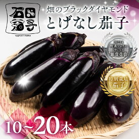 【ふるさと納税】≪TVで話題！≫とげなし茄子 選べる 10本 ~ 20本 ナス 茄子 なす なすび 野菜 旬 旬の野菜 糖度 石田茄子 トゲなし　とげなし お取り寄せ 健康 夕飯 おかず 愛知県 豊橋市 1万円 10000円