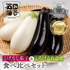 【ふるさと納税】≪TVで話題！≫こだわり茄子 食べ比べ≪とげなし茄子×白茄子≫ ナス 茄子 なす なすび 白なす しろなす 白ナス 白茄子 野菜 旬 旬の野菜 糖度 石田茄子 トゲなし とげなし セット 食べ比べセット お取り寄せ 健康 夕飯 おかず 愛知県 豊橋市 5千円 5000円