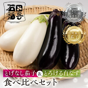 【ふるさと納税】≪TVで話題!≫こだわり茄子 食べ比べ≪とげなし茄子×白茄子≫ ナス 茄子 なす なすび 白なす しろなす 白ナス 白茄子 野菜 旬 旬の野菜 糖度 石田茄子 トゲなし とげなし