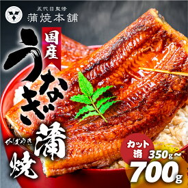 【ふるさと納税】国産うなぎ蒲焼 ~700g (カット済) タレ付き (350g~700g) セット 厳選 ウナギ 蒲焼 かば焼き 丑の日 高級 贅沢 ご褒美 お取り寄せ unagi うな重 うな丼 お茶漬け ひつまぶし 冷凍 うなぎ 鰻 国産 お中元 お歳暮 豊橋うなぎ 愛知県 豊橋