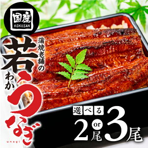 yӂ邳Ɣ[ŁzYႤȂ 2 / 3 V YȂ unagi  EiM Ⓚ yp N̓ yp̉N̓ Nz N Nz V Y  Ε  LȂ m Ls 