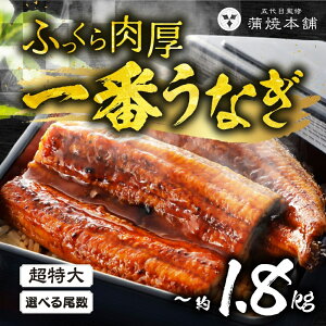 yӂ邳Ɣ[Łz͂Iׂ TCY YȂ 2 ~ 6 ^t Ȃ unagi V Y EiM  yp̉N̓ YȂ ґ J  ȏd Ș Ђ