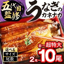 【ふるさと納税】国産うなぎ蒲焼 2尾~10尾 タレ・山椒付 ≪選べる≫ 2尾 3尾 4尾 6尾 8尾 10尾 鰻 うなぎ unagi 国産 ウナギ 蒲焼 土用の丑の日 土用 丑の日 贈答 贅沢 ご褒美 特産品 うな重 うな丼 ひつまぶし 冷凍 お祝い お中元 お歳暮 特上