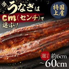 【ふるさと納税】今、うなぎはセンチで選ぶ！ 長さ選べる 国産 うなぎ蒲焼 カット鰻 うなぎ ウナギ unagi カット済 うな重 冷凍 うな丼 ストック 蒲焼 タレ付 選べる 簡単 簡単調理 訳あり 規格外 人気 三河 10 1万円 10000円 愛知県 豊橋市