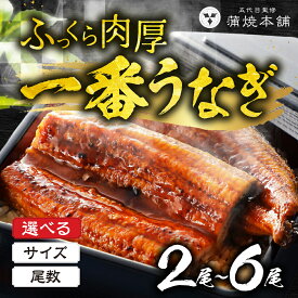 【ふるさと納税】≪特大サイズ≫ 国産うなぎ蒲焼 2尾 ~ 6尾 タレ付 うなぎ unagi 鰻 国産 ウナギ 蒲焼 土用の丑の日 国産うなぎ 贅沢 ご褒美 お取り寄せ うな重 うな丼 ひつまぶし 冷凍 惣菜 お祝い 大きい 超特大 愛知県 豊橋市