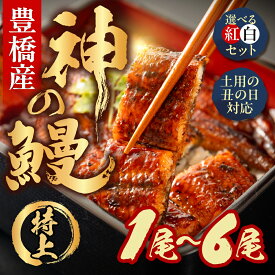 【ふるさと納税】豊橋うなぎの新ブランド『神の鰻』1尾〜6尾 国産 特上 選べる 紅白 セット 鰻 うなぎ unagi ウナギ 蒲焼 長蒲焼 国産うなぎ 上 特上 贈答 ギフト 豊橋うなぎ お祝い 白焼き 指定可 土用の丑の日 白焼 鰻 愛知県 豊橋市
