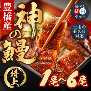 yӂ邳Ɣ[ŁzLY₤Ȃ̐VuhAJBw_̉Vx1`6 Y  Iׂ g Zbg V Ȃ unagi EiM   YȂ   N͂ N N