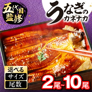 yӂ邳Ɣ[Łz͂Iׂ YȂ 2~10 ^ERt V Ȃ unagi Y EiM  yp̉N̓ yp N̓  Nz Nz N ȏd Ș Ђ܂
