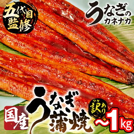 【ふるさと納税】訳あり 国産 うなぎ ~10尾 ~1キロ 蒲焼 うなぎ 愛知県 三河 宮崎 静岡 産地 おまかせ 尾数 不揃い 2尾 3尾 4尾 5尾 6尾 8尾 10尾 長蒲焼 冷凍 丑の日 鰻 unagi わけあり 規格外 土用の丑の日 送料無料 豊橋市 豊橋うなぎ