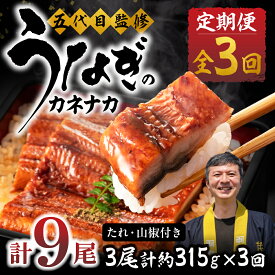 【ふるさと納税】≪定期便・全3回≫国産若うなぎ 3尾セット｜うなぎ 定期便 鰻 国産 国産うなぎ タレ付 ウナギ 蒲焼 かば焼き 丑の日 うな重 うな丼 ひつまぶし 冷凍 誕生日 お祝い 内祝い お中元 お歳暮 3回お届け 3ヶ月 3回 愛知県 豊橋市