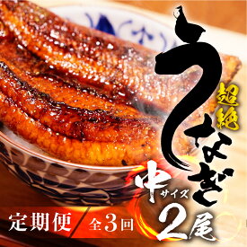 【ふるさと納税】 国産うなぎ 定期便 中2尾 選べる 3回 6回 12回『1ヵ月に1回お届け』 蒲焼 2尾 鰻 国産 タレ付 セット 厳選 超絶うなぎ ウナギ 蒲焼 丑の日 高級 贅沢 ご褒美 定期便 3ヶ月 6ヶ月 12ヶ月 うな重 うな丼 ひつまぶし 冷凍 豊橋うなぎ 愛知県 豊橋市 豊橋