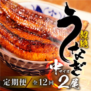 【ふるさと納税】 国産うなぎ 定期便 中2尾 選べる 3回 6回 12回『1ヵ月に1回お届け』 蒲焼 2尾 鰻 国産 タレ付 セット 厳選 超絶うなぎ ウナギ 蒲焼 丑の日 高級 贅沢 ご褒美 定期便 3ヶ月 6ヶ月