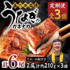 【ふるさと納税】≪定期便・全 3回≫国産若うなぎ 2尾セット｜うなぎ 定期便 鰻 国産 国産うなぎ タレ付 ウナギ 蒲焼 かば焼き 丑の日 うな重 うな丼 ひつまぶし 冷凍 誕生日 お祝い 内祝い お中元 お歳暮 3回お届け 3ヶ月 3回 愛知県 豊橋市
