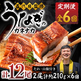 【ふるさと納税】≪定期便・全6回≫国産若うなぎ 2尾セット｜うなぎ 定期便 鰻 国産 国産うなぎ タレ付 ウナギ 蒲焼 かば焼き 丑の日 うな重 うな丼 ひつまぶし 冷凍 誕生日 お祝い 内祝い お中元 お歳暮 6回お届け 6ヶ月 6回 愛知県 豊橋市