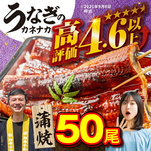 yӂ邳Ɣ[ŁzYȂ 50 󂠂 e Ȃ V EiM unagi  Y lC LO 킯 ȒP Ⓚ ȈՕ Ε  yp̉N̓ N̓ Mtg 