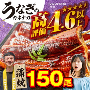 yӂ邳Ɣ[ŁzYȂ 150 󂠂 e Ȃ V EiM unagi  Y lC LO 킯 ȒP Ⓚ ȈՕ Ε  yp̉N̓ N̓ Mtg 