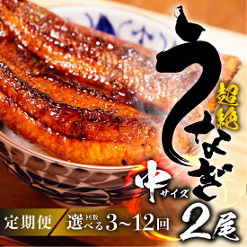 【ふるさと納税】 国産うなぎ 定期便 中2尾 選べる 3回 6回 12回『1ヵ月に1回お届け』 蒲焼 2尾 鰻 国産 タレ付 セット 厳選 超絶うなぎ ウナギ 蒲焼 丑の日 高級 贅沢 ご褒美 定期便 3ヶ月 6ヶ月 12ヶ月 うな重 うな丼 ひつまぶし 冷凍 豊橋うなぎ 愛知県 豊橋市 豊橋
