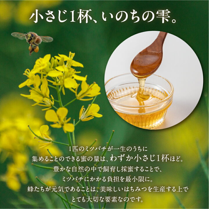 楽天市場】【ふるさと納税】※数量限定※ 豊橋蜂蜜【kosaji】春はちみつ 