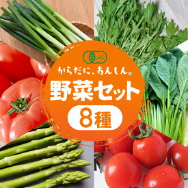 【ふるさと納税】≪先行予約≫功農野菜8種類セット 8種 野菜 セット 有機栽培 ミニトマト アスパラ トマト ほうれん草 水菜 春菊 ネギ 小松菜 高糖度 新鮮 産地直送 季節の野菜 詰め合わせ やさい 自然 安心安全 旬 送料無料 愛知県 豊橋市