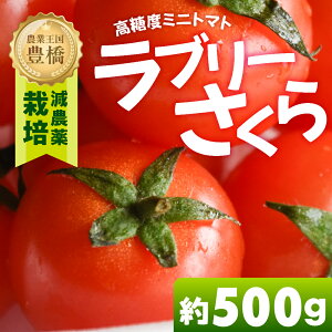 yӂ邳Ɣ[Łzs\₠܁`I~jg}g  500g g}g ~jg}g Z Â  x n tomato Ƃ܂ ₳ R SS {  m Ls