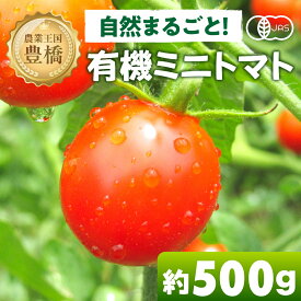 【ふるさと納税】≪先行予約≫有機栽培ミニトマト 約 500g 有機栽培 有機 トマト ミニトマト 濃厚 甘い 美味しい 高糖度 完熟 tomato とまと やさい 自然 安心安全 旬 オーガニック 送料無料 愛知県 豊橋市