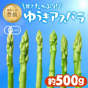 yӂ邳Ɣ[Łzs\L@͔|AXpKX  500g L@͔| L@ AXp O[AXp ₳ R SS { I[KjbN  m Ls