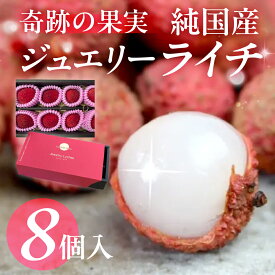 【ふるさと納税】≪先行予約 2026年発送≫ 愛知県産 生ライチ 8個 希少 数量 限定 国産 産地直送 国産ライチ ライチ レイシ 果物 フルーツ 旬 デザート おやつ スイーツ 肉厚 ぷりぷり 南国 貴重 贈答 ギフト プレゼント 高級 冷蔵 愛知県 豊橋市