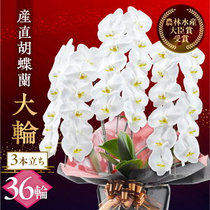 yӂ邳Ɣ[ŁzYӒwցx 3{ 36  t m bsOt j   Mtg j ~fB K p  Iׂ bsO 蕨 t[ \ j 