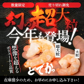 【ふるさと納税】数量限定 幻 超大粒 極むき海老 1.5kg むきえび 高級 特選 大型 大サイズ 下処理済み 背わたなし バラ凍結 発送時期が選べる 海鮮 えび 年内発送 年内配送 年内 むき海老 冷凍 簡易包装 のため 訳あり 魚介類 海鮮 愛知県 豊橋市 送料無料 15000円