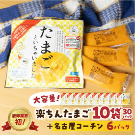 【ふるさと納税】楽ちんたまご 100g× 3パック入り 10袋 名古屋コーチン おまけ付き 液卵 時短 便利 ストック 冷凍 たまご 卵 お弁当 料理 おいしい 地鶏 おまけ 冷凍液卵 愛知県 豊橋市
