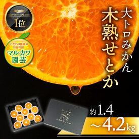 【ふるさと納税】≪今が旬！≫ 木熟せとか 大トロ みかん フルーツ ≪選べる 1.4kg~4.2kg≫ 秀品 せとか マルカワ園芸 みかん mikan ミカン 蜜柑 柑橘 柑橘類 贈答 プレゼント 旬 果物 高糖度 スイーツ ギフト プレミアム 糖度 先行予約 新着 愛知県 豊橋市
