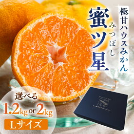 【ふるさと納税】≪今が旬！≫ 超濃厚ハウスみかん『蜜ツ星』 秀品 選べる 1.2kg / 2kg (Lサイズ10玉 〜18玉) みかん 高級 高糖度 ギフト 贅沢 蜜柑 ミカン 柑橘 フルーツ 数量限定 季節限定 濃厚 化粧箱入り Lサイズ 詰め合わせ 豊橋